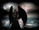 dark angel~0.jpg